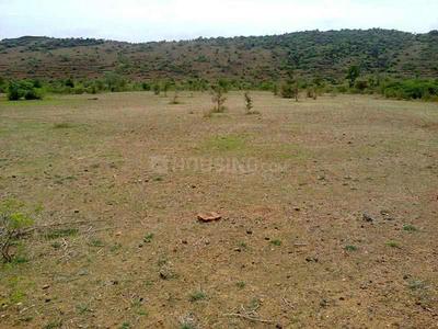 Residential Plot