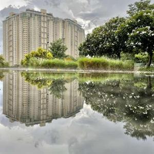 3 BHK Apartment