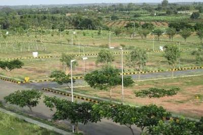 Residential Plot