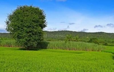 4500 Sq.ft Residential Plot for Sale in Purba Barisha, Kolkata