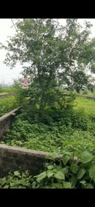 2722 Sq.ft Residential Plot for Sale in Biharimills Colony, Patna