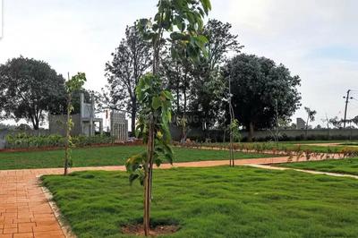 Gallery Cover Image of Sq.ft Residential Plot for buy in Devanahalli for 4650000