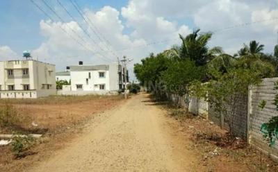 Residential Plot