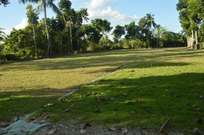 Residential Plot
