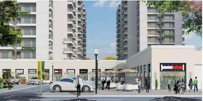 3 BHK Apartment