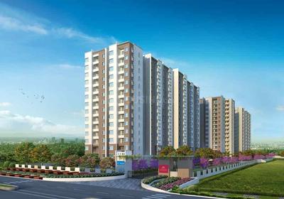 3 BHK Apartment