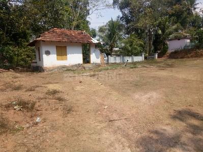 Gallery Cover Image of Sq.ft Residential Plot for buy in Thrippunithura for 5000000