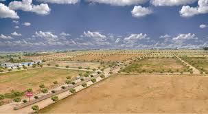 Gallery Cover Image of Sq.ft Residential Plot for buy in Sector 8 Dwarka for 27500000