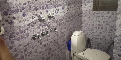Bathroom Image of Girls PG in Ashok Vihar