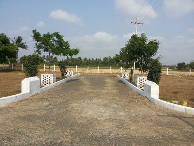 Residential Plot