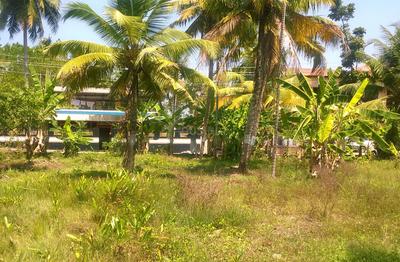 Residential Plot