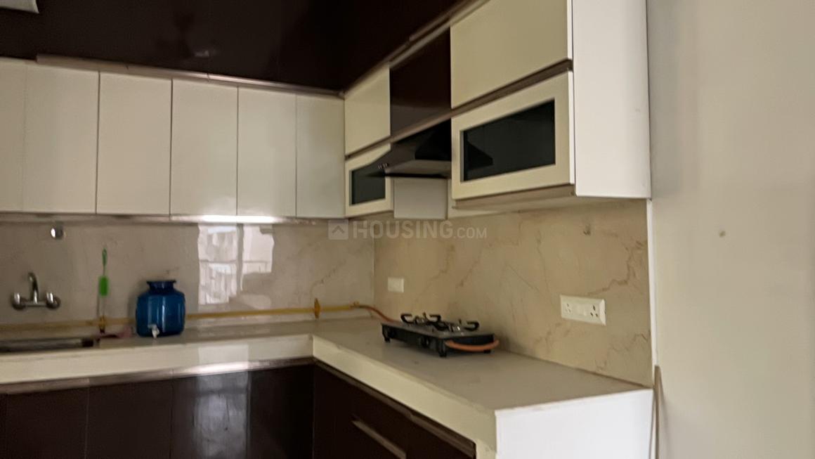 AIG Aigin Royal - Image 22