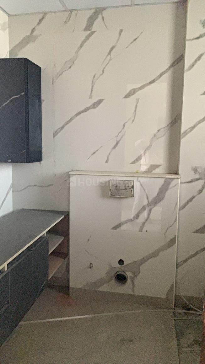 Apex D Rio - Image 9