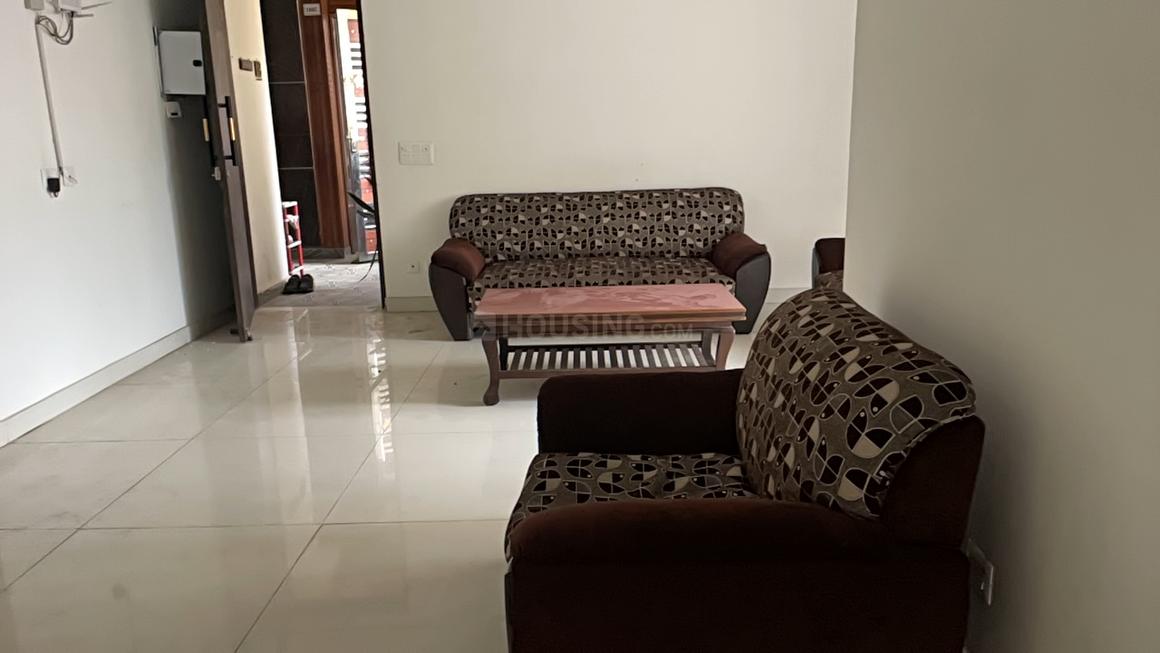 AIG Aigin Royal - Image 6