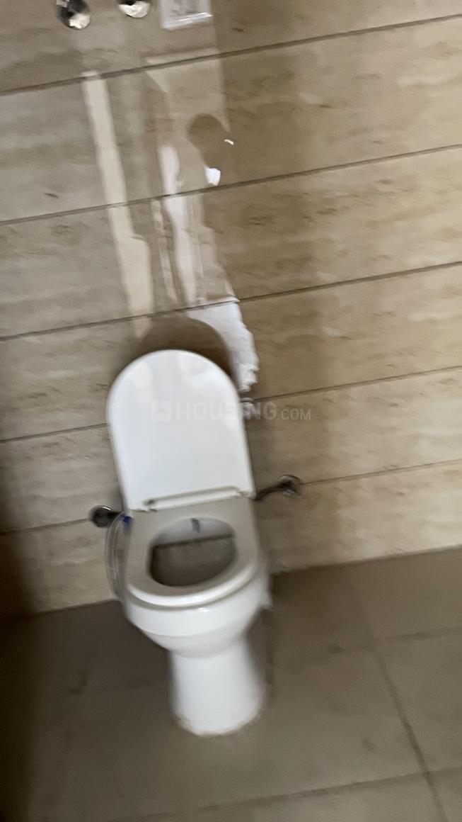 ACE Divino - Image 14