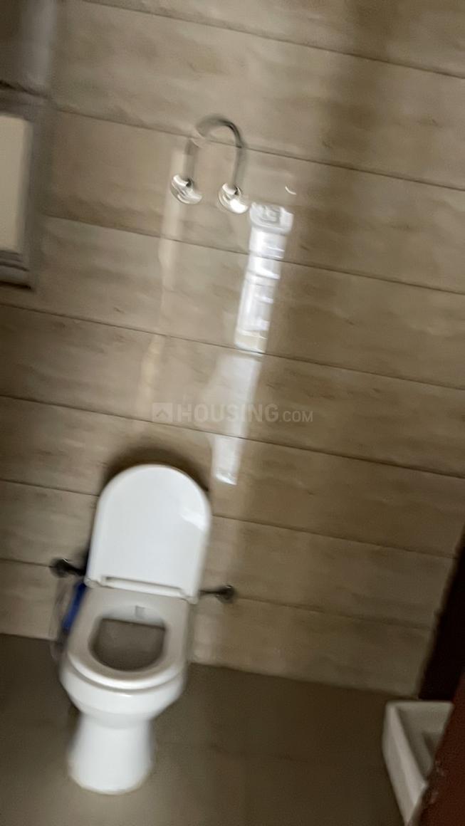 ACE Divino - Image 15