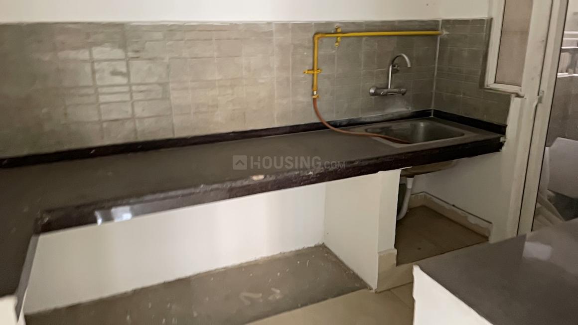 ACE Divino - Image 17