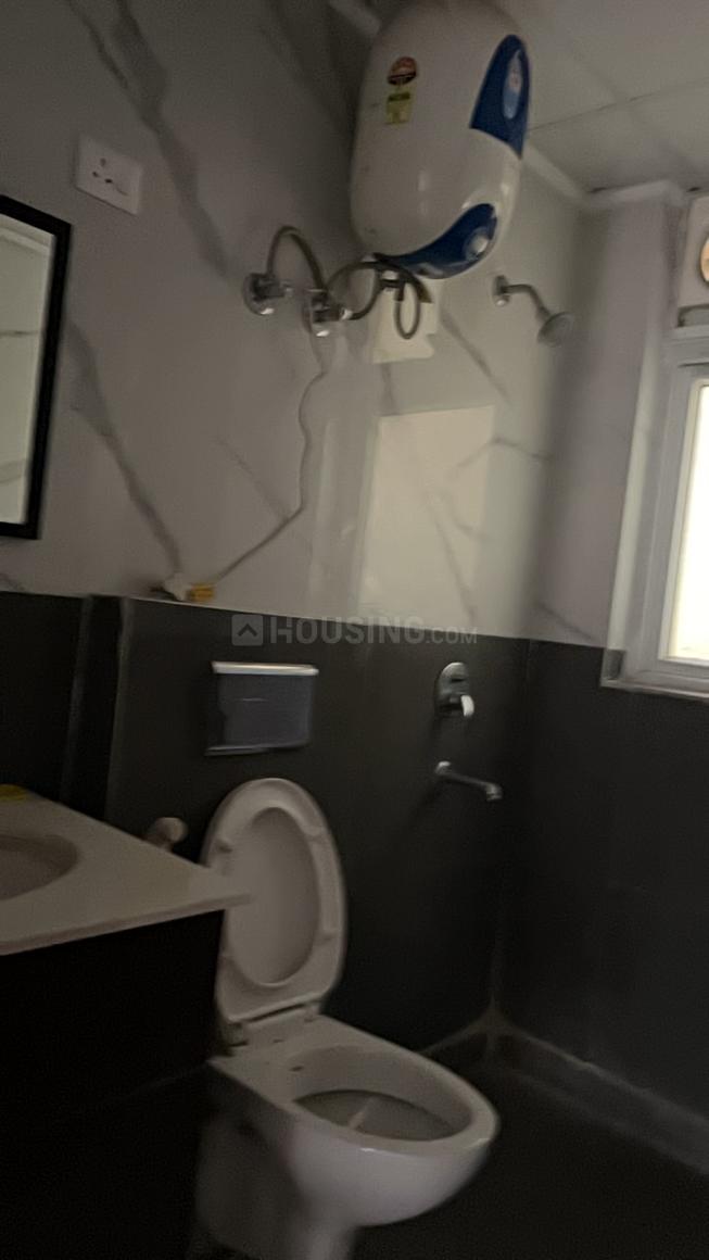 AIG Aigin Royal - Image 12