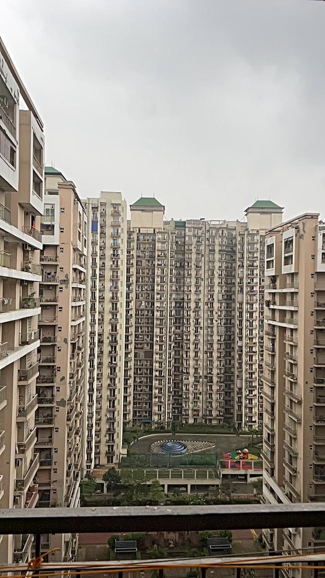 AIG Aigin Royal - Image 24