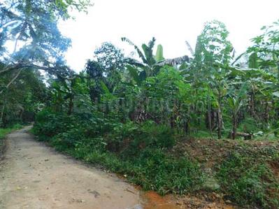 Residential Plot