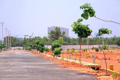 1200 Sq.ft Residential Plot for Sale in Whitefield, Bangalore