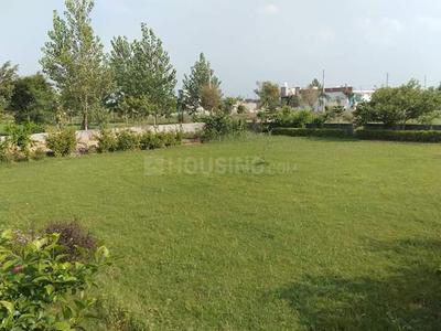 Residential Plot