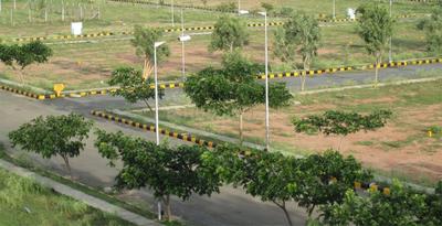 Gallery Cover Image of Sq.ft Residential Plot for buy in Sector 85 for 9500000