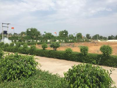 Residential Plot