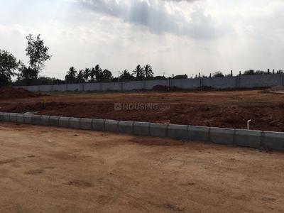 Residential Plot