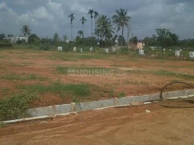 Residential Plot