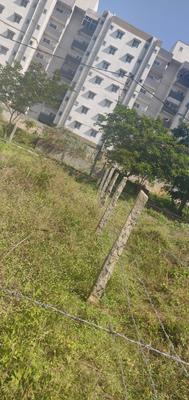 Residential Plot
