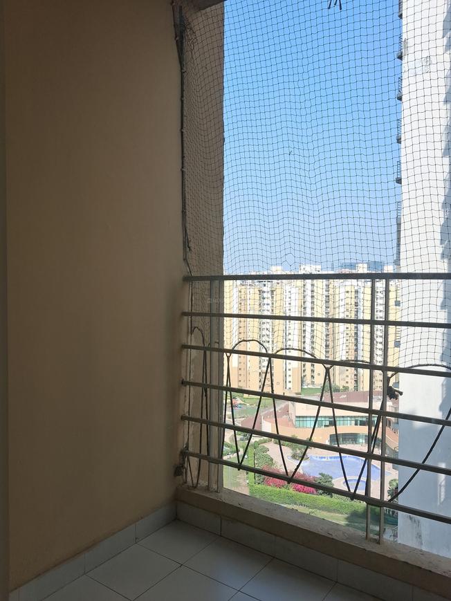 Paras Tierea - Image 13