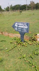 Residential Plot