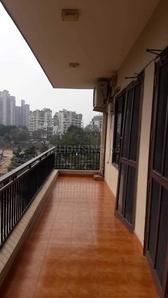 Balcony Image of Star PG in DLF Phase 4