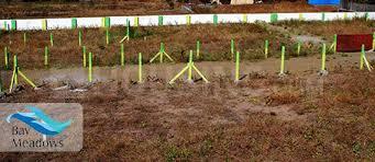 1000 Sq.ft Residential Plot for Sale in Yewalewadi, Pune