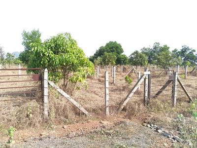 Residential Plot