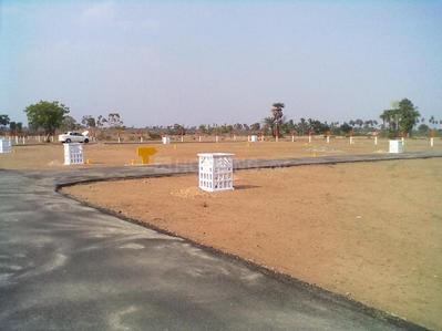 Gallery Cover Image of Sq.ft Residential Plot for buy in Adarsh Nagar for 55000000