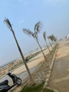 2250 Sq.ft Residential Plot for Sale in Pirthla, Palwal