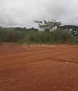Gallery Cover Image of Sq.ft Residential Plot for buy in Khalapur for 1200000