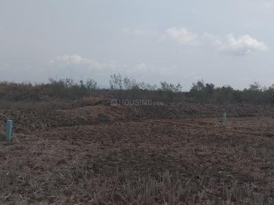 Gallery Cover Image of Sq.ft Residential Plot for buy in Uran for 600000