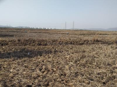 Gallery Cover Image of Sq.ft Residential Plot for buy in sarde for 200000