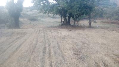 Gallery Cover Image of Sq.ft Residential Plot for buy in Khandala for 5500000