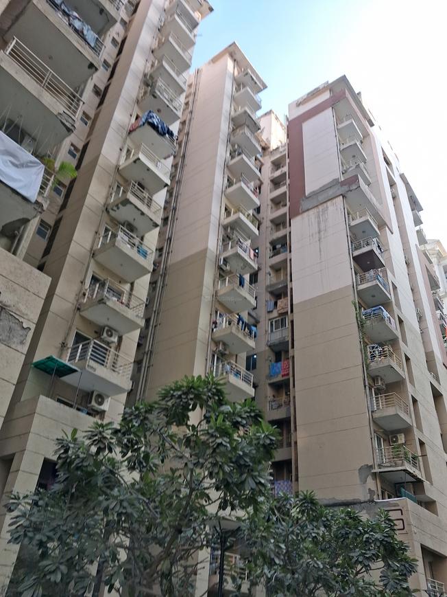 Paras Seasons - Image 20