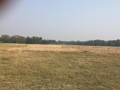 Gallery Cover Image of Sq.ft Residential Plot for buy in Joka for 400000