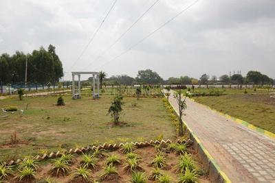 Residential Plot
