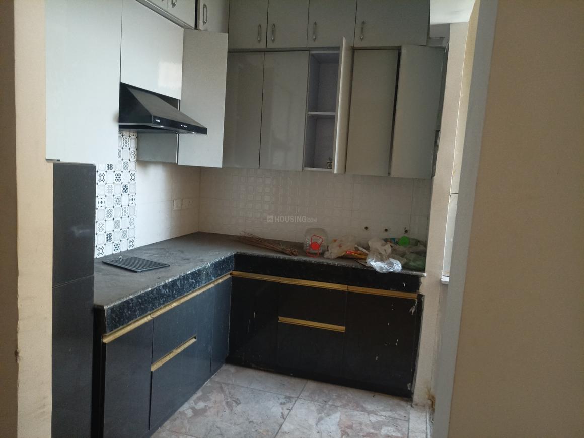 Divyansh Onyx - Image 14