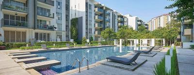 Gallery Cover Image of 450 Sq.ft 1 BHK Apartment for buy in Shahad for 4300000