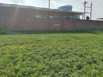 6000 Sq.ft Residential Plot for Sale in Nai Duniya, Indore