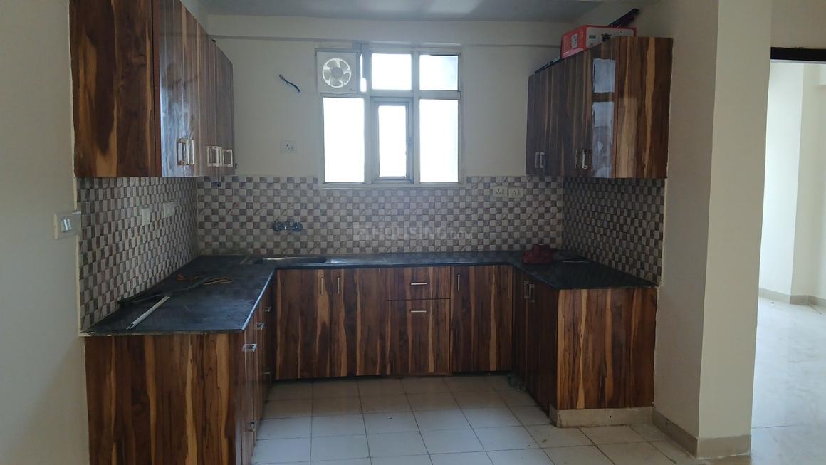 Today Kings Park - Image 11