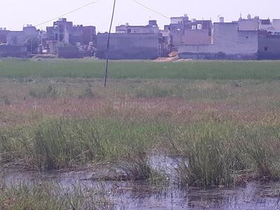 Residential Plot